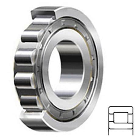 Ntn Cylindrical Roller Bearing, 45MM Bore, Straight, 120MM Outside Diameter NJ409